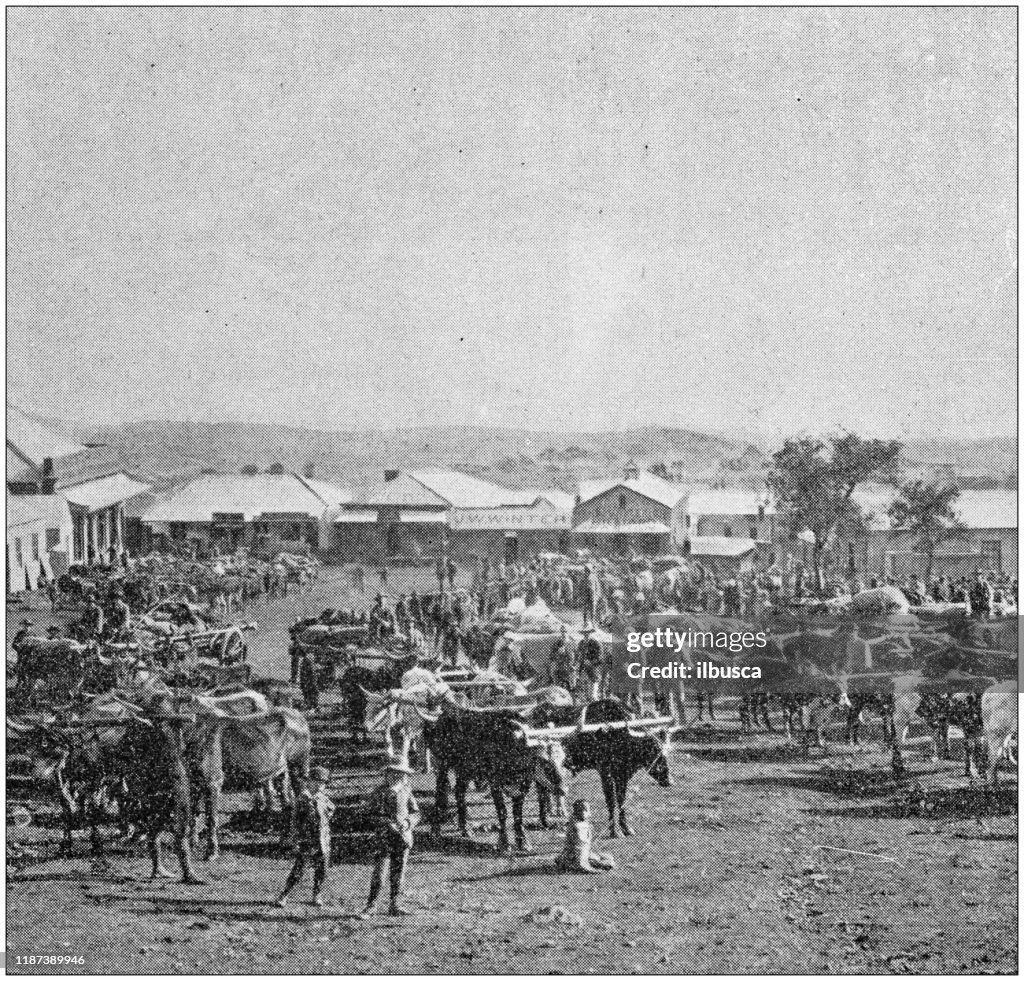 Antique photo: Gold Mining industry in South Africa