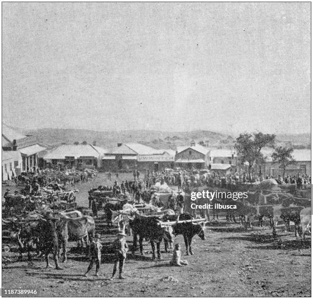 antique photo: gold mining industry in south africa - diamond mine south africa stock illustrations