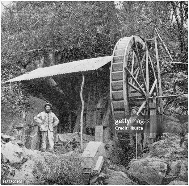 antique photo: gold mining industry in south africa - south african people stock illustrations