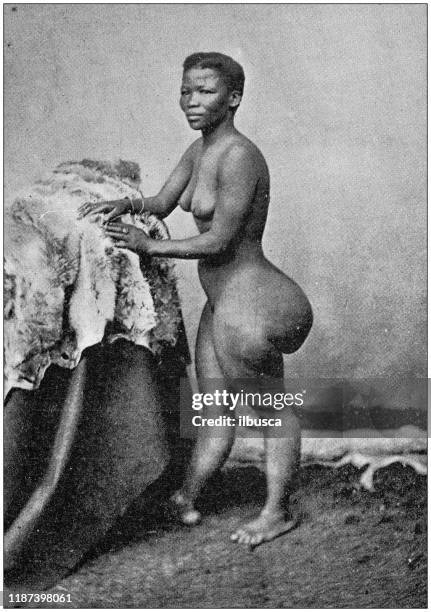 illustrations, cliparts, dessins animés et icônes de photo antique : peuples autochtones sud-africains, femme hottentot khoikhoi - khoikhoi women