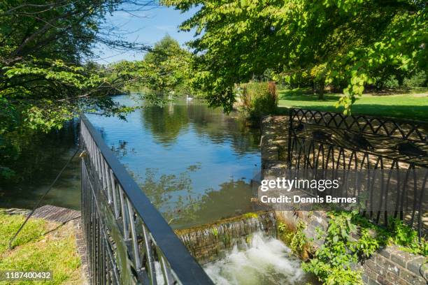 cirencester; park, pond, lake,  gloucestershire; uk; england - cirencester fotografías e imágenes de stock