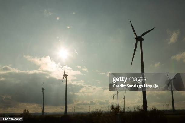 wind turbines in backlit - 下奧地利州 個照片及圖片檔