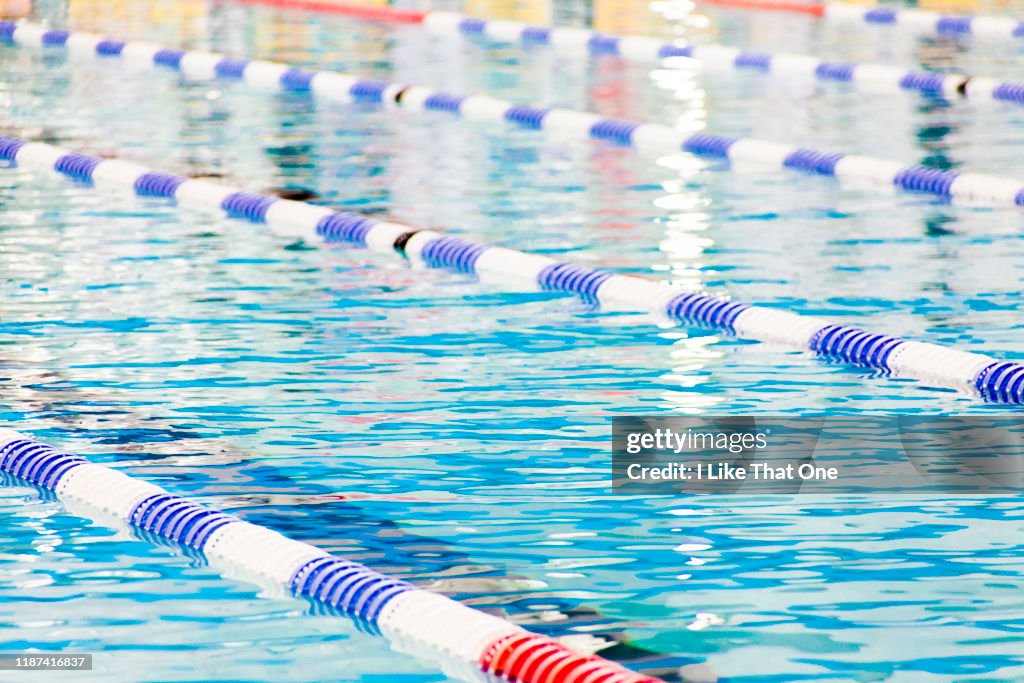 Swimming Pool Lanes 6