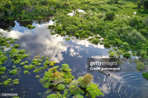 bateau de touriste sur une rivière de jungle dans la forêt tropicale du bassin du congo - république du congo photos et images de collection