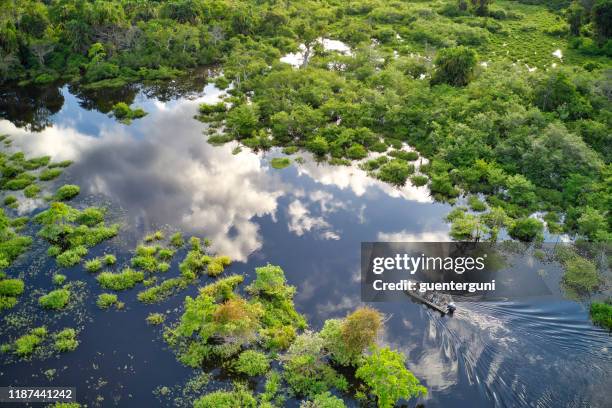コンゴ盆地の熱帯雨林のジャングル川の観光船 - コンゴ共和国 ストックフォトと画像