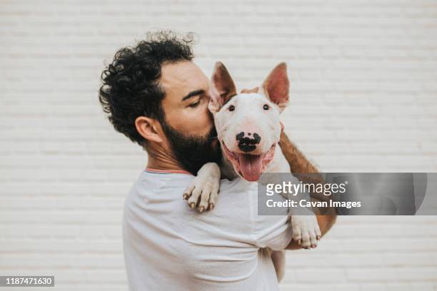 bearded man kissing a white bull terrier dog - bullterrier bildbanksfoton och bilder