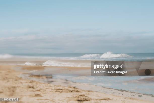 waves crashing against windswept beach - driftwood stock pictures, royalty-free photos & images