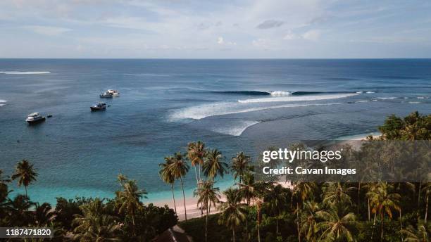 surfing on a beach with palm trees in indonesia - mentawai islands stock pictures, royalty-free photos & images