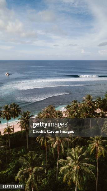perfect wave on a beach with palm trees in indonesia - mentawai islands stock pictures, royalty-free photos & images