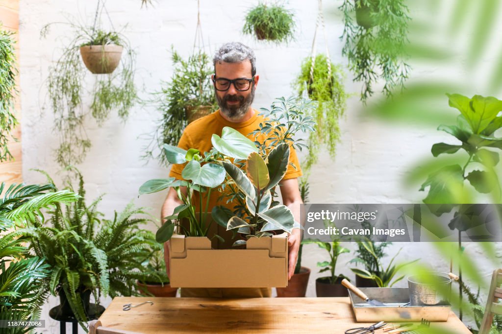 Man holding cardboard box with new plants for his terrace.