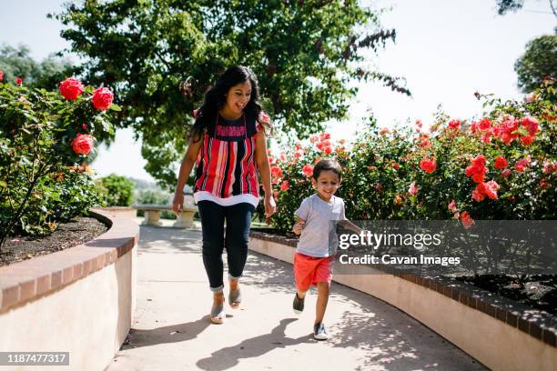 mom running & playing with son in rose garden - rose garden stock pictures, royalty-free photos & images