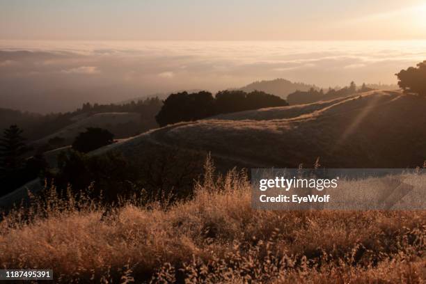 sunset over los altos hills - palo alto stock-fotos und bilder