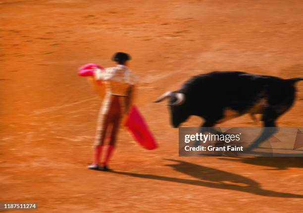 Bullfighter Injuries 342 Bull Fighting Injury Stock Photos, High-Res Pictures, and Images ...