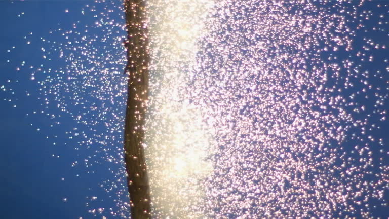 Exploding Trunk 3,171 Exploding Tree Stock Videos, Footage, & 4K Video Clips - Getty Images