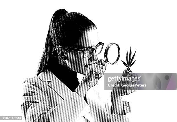 woman lab technician analyzing cannabis leaf - optical fibre stock illustrations