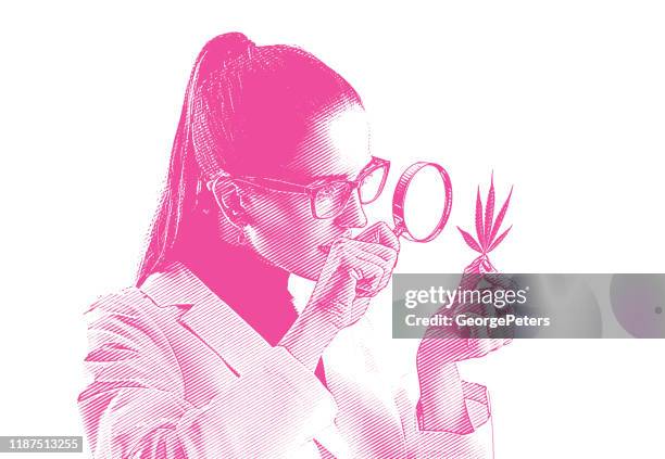 woman lab technician analyzing cannabis leaf - hemp leaf stock illustrations