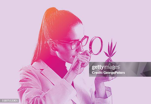 frau labortechnikerin analysiert cannabisblatt - chemical lab stock-grafiken, -clipart, -cartoons und -symbole
