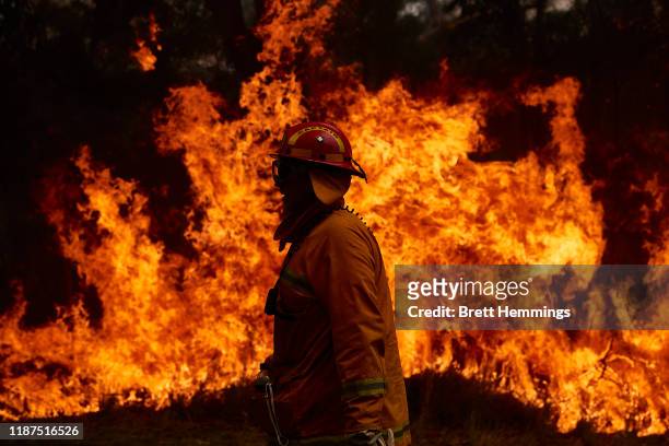 Member works on controlled back burns along Putty Road on November 14, 2019 in Sydney, Australia. Crews are working hard to gain the upper hand after...