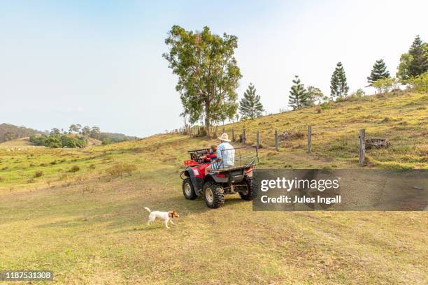 farmer riding a quad bike in a paddock with his young son and dog - australian pasture stock pictures, royalty-free photos & images