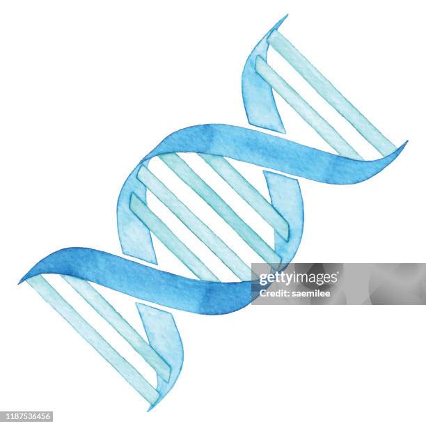 aquarell-dna - genetische veränderung stock-grafiken, -clipart, -cartoons und -symbole