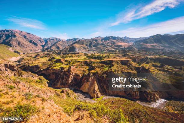 colca canyon landschaft mit fluss und terrassenförmig angelegten feldern - arequipa peru stock-fotos und bilder