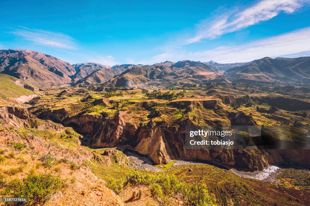 Colca Canyon landscape with river and terraced fields