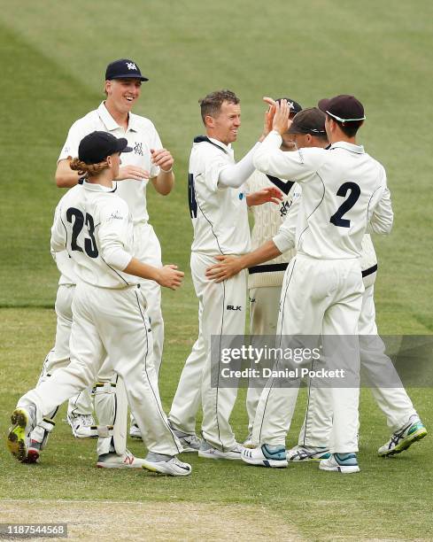 Peter Siddle of Victoria celebrates the dismissal of Jack Wildermuth of Queensland during day 3 of the Sheffield Shield match between Victoria and...