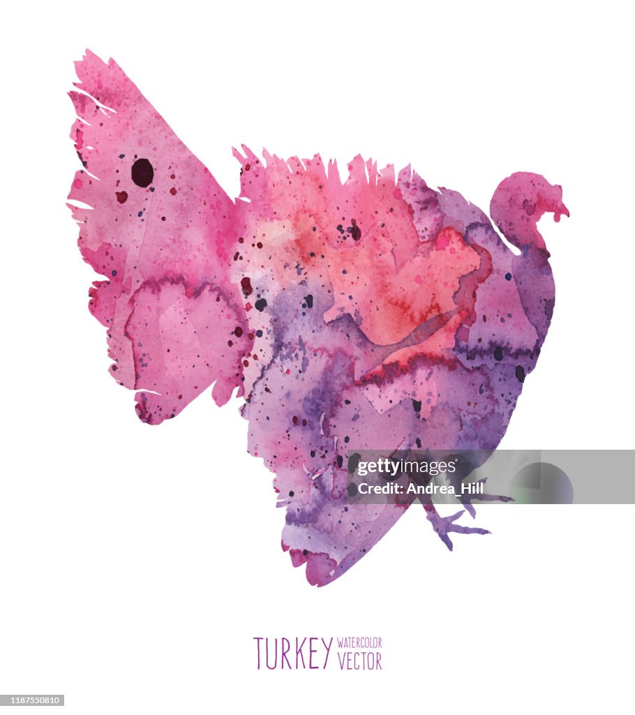 Watercolor Turkey Vector Illustration