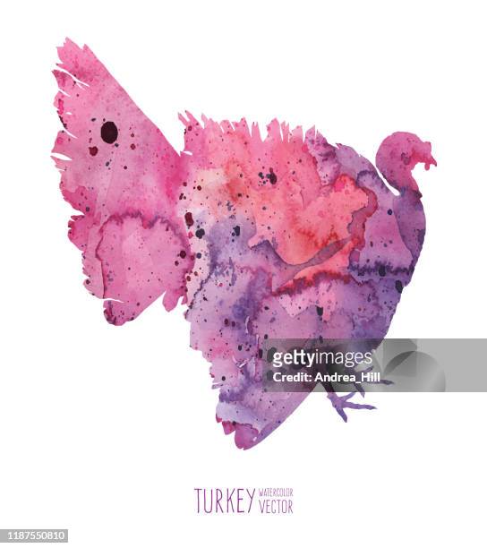 watercolor turkey vector illustration - turkey bird stock illustrations