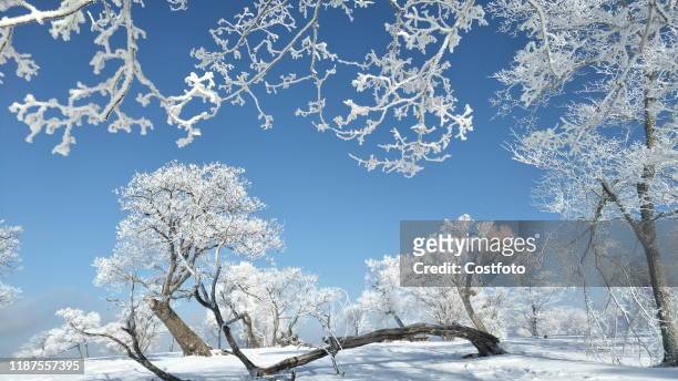 Sifangdingzi scenic spot presents a large area of rime, Tonghua City, Jilin Province, China, December 7, 2019.- PHOTOGRAPH BY Costfoto / Future...