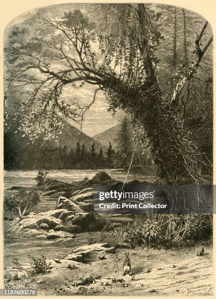 The French Broad', 1872. The French Broad River flows from Transylvania County, North Carolina, into the state of Tennessee, USA. From "Picturesque...