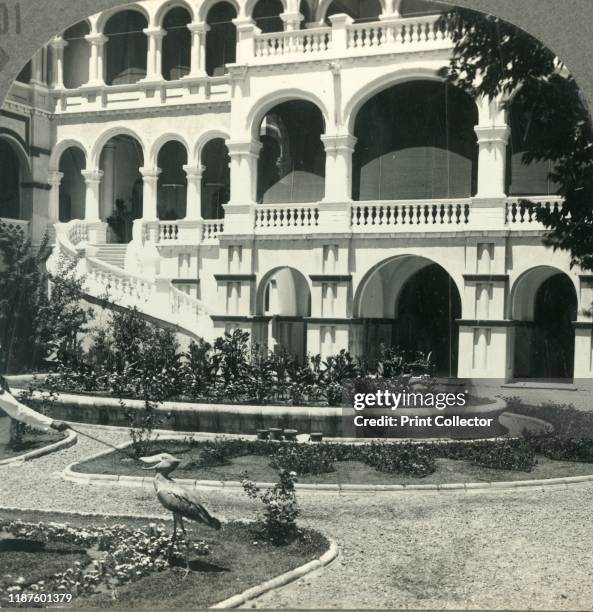 Sirdar's Palace - On Lawn, Shoebill Stork, Africa's Rarest Bird, Khartoum, Alglo Egyptian Sudan', circa 1930s. The Governor's Palace in Khartoum was...