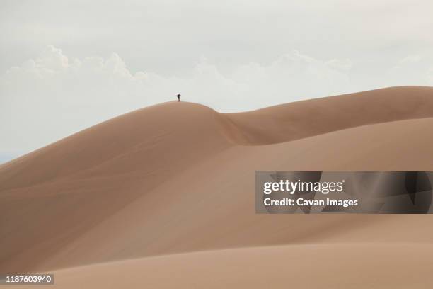 lone hiker looks out from summit of sand dune - great sand dunes national park stock pictures, royalty-free photos & images