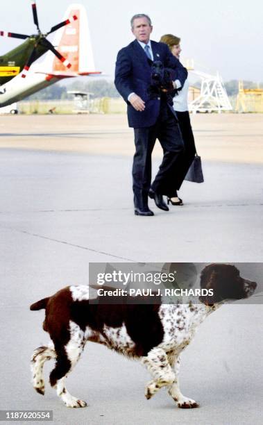 President George W. Bush yells to his dog Spot who strayed a bit as he and First Lady Laura Bush walk to the steps of Air Force One 30 September...