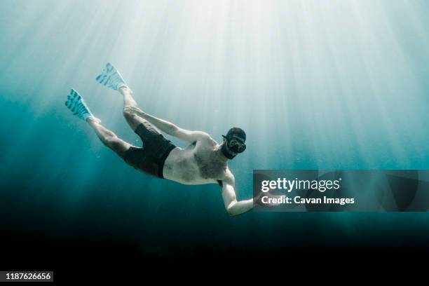 full length of man swimming underwater in the ocean facing camera - facing camera professional outdoor stockfoto's en -beelden