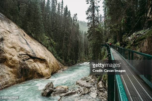 metal catwalk running along the rushing water in johnston canyon. - kids catwalk stock pictures, royalty-free photos & images