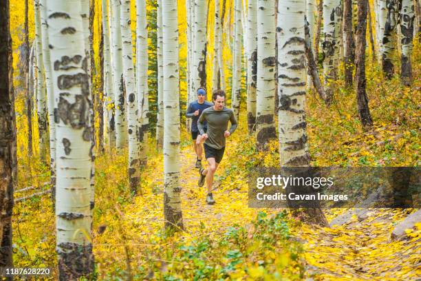 men trail run through aspen forest with fall color in vail, colorado - berk stockfoto's en -beelden