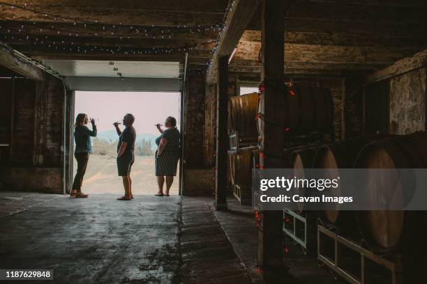 three friends wine tasting at a local vineyard. - wine barrel stock pictures, royalty-free photos & images