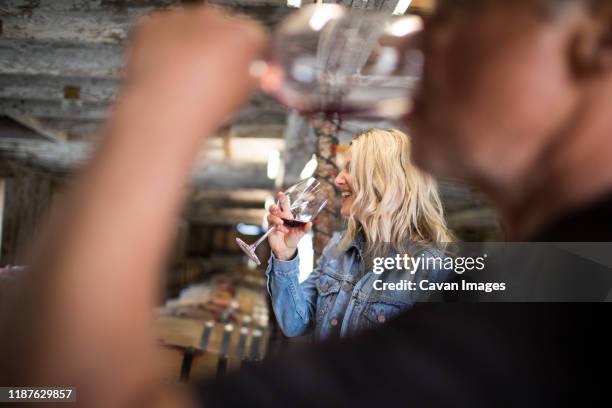 attractive blonde woman tasting wine from oak barrels. - wine tasting stock-fotos und bilder