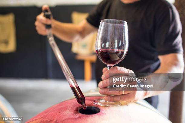 sommelier extracts wine from a barrel using a pipette - food and drink industry stockfoto's en -beelden