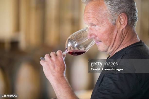 senior winemaker drinking wine - sommelier stock pictures, royalty-free photos & images