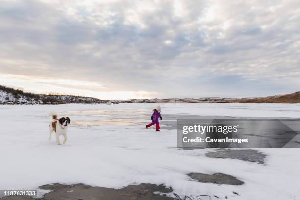 little girl runs on frozen lake with dog - bismarck north dakota stock-fotos und bilder