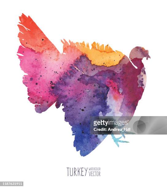 ilustrações de stock, clip art, desenhos animados e ícones de watercolor turkey vector illustration - turkey feathers