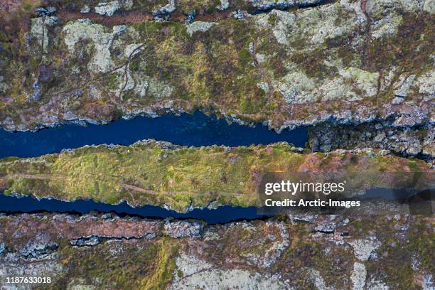 lava and moss, mid-atlantic ridge- flosagja fissure, iceland - thingvellir stock pictures, royalty-free photos & images