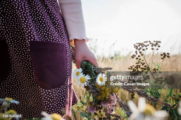 young girls hand holding a bunch of wildflowers in a meadow at sunset - girl gold dress stock pictures, royalty-free photos & images