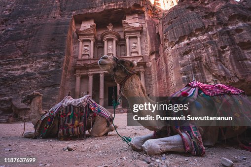 Camel in The Treasury (Al Khazneh) q, ancient Petra city, Petra, Jordan