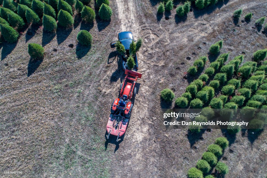 Farmer Driving Red Tractor