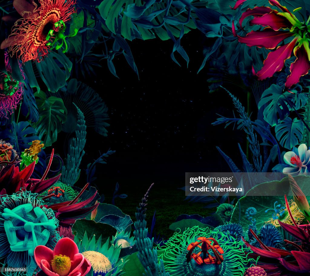 Night jungle background
