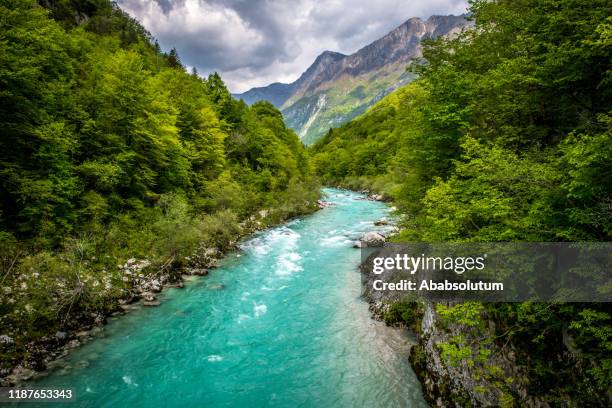 vackra soca river nära kobarid i slovenien, europa - dal bildbanksfoton och bilder