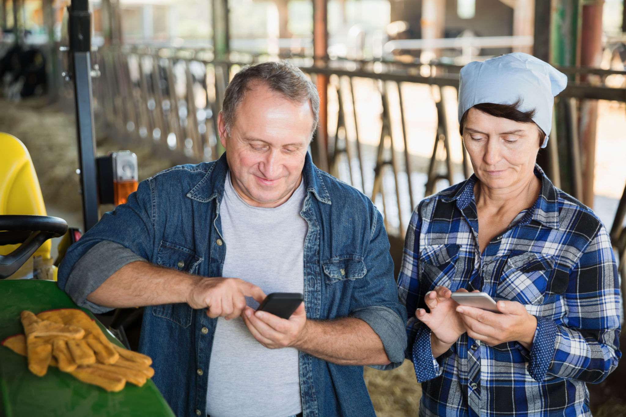 Senior man and female farmers using phones on farm Senior man and female farmers using phones on farm